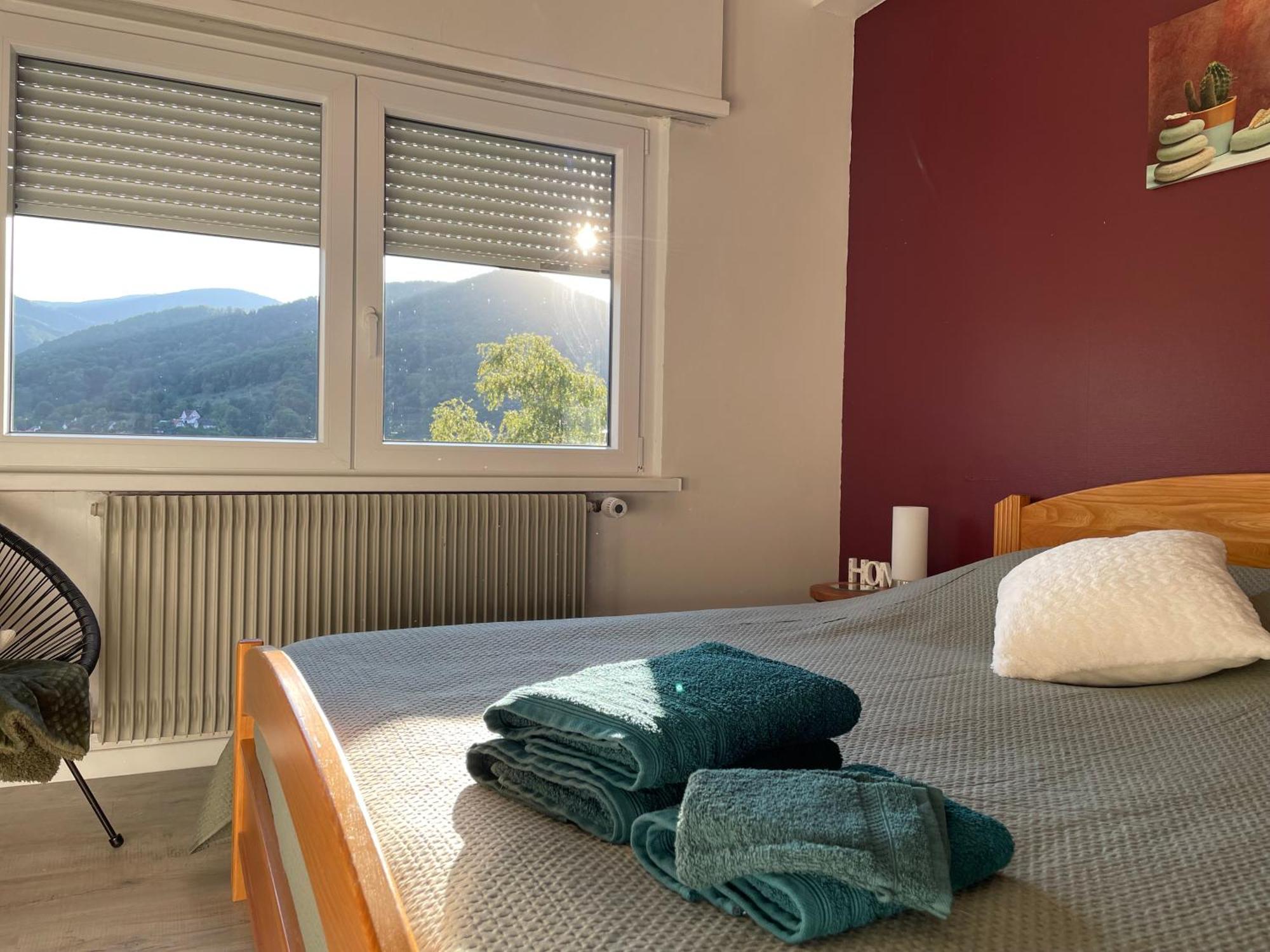Appartamento Au Reposoir - Vue Sur La Montagne Buhl Esterno foto